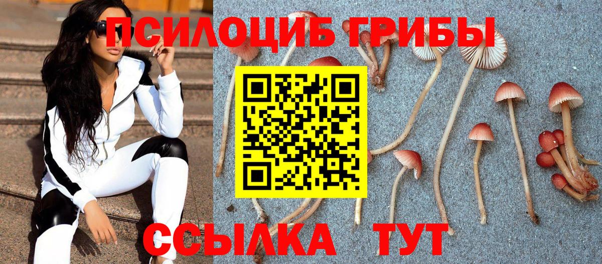 Галлюциногенные грибы Cubensis  Псилоцибиновые грибы MAGIC MUSHROOMS  Гусиноозёрск 