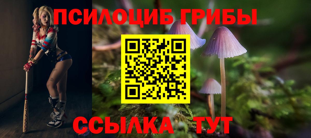 Псилоцибиновые грибы мухоморы Гусиноозёрск
