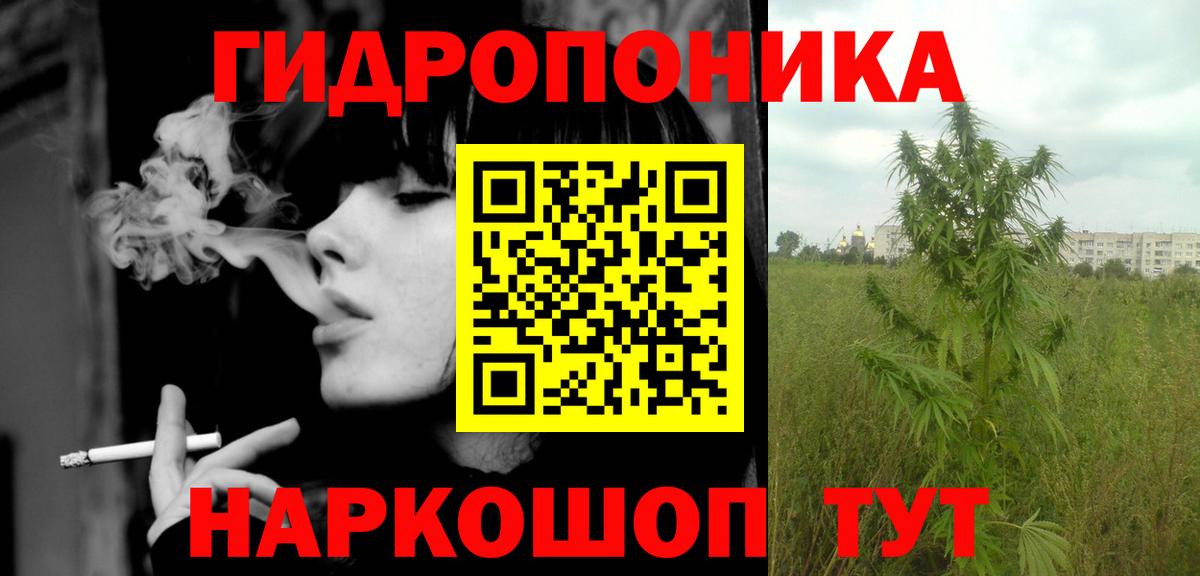 Конопля гибрид  Вход с VPN  МАРИХУАНА ГИДРОПОН  Гусиноозёрск  Марихуана планчик 